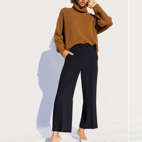 Aritzia Atticus Pant - Picture 3 of 5